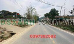 Bán Đất Sơn Hùng, Thanh Sơn: 200m2 Full Thổ Cư, Nở Hậu