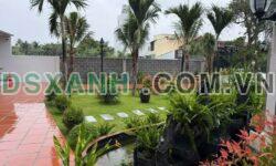 Bán Nhà Vườn Nha Trang 1100m2, Sát Võ Nguyên Giáp, Giá Tốt