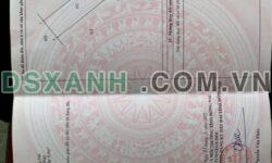 Bán Đất Tân Hạnh, Biên Hòa: Sổ Hồng Riêng, Thổ Cư 100%, Hẻm Xe Hơi