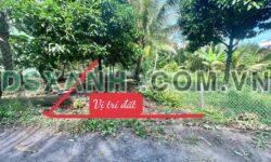 Bán đất Bình Ninh, Tam Bình, Vĩnh Long. Giá rẻ, thổ cư, khu dân cư