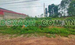 Bán đất Chu Hóa, mặt tiền 9.7m vuông đẹp, full thổ cư