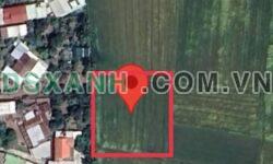 Bán đất Diên Bình 1180m² sát khu dân cư, tiềm năng đầu tư