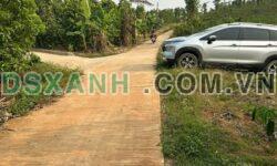 Đất Đăk Nông 1000m² Sổ Đỏ, Giá Sốc 139 Triệu Ôtô Tới Đất