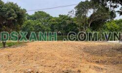 Bán đất Phú Lương, gần 6000m², 400m² thổ cư, giá tốt