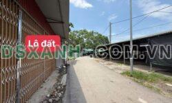 Bán Lô Đất Chợ Tam Quan, Tam Đảo 233m² – Giá Tốt