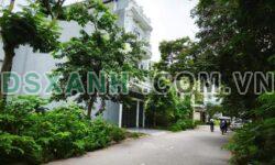 Bán đất Hòa Phong, Dữu Lâu: 95m2, MT 5m, giá tốt