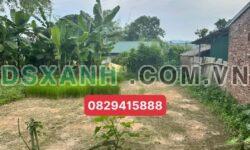 Bán Đất Ngọc Xuân 210m², MT 14m, Giá Chỉ 6xx Triệu