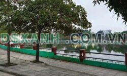 Bán đất đẹp Cao Đại-Minh Phương, Việt Trì. 120m2, Giá 3.x tỷ