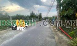 Bán đất Diên Hòa, Diên Khánh 176m2, 60m2 thổ cư, giá 1.25 tỷ
