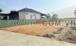 Bán đất 66m2 gần UBND Xã Nghi Phong, giá 8xx