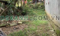 Bán nhà đất Hòa Chung, nhà cấp 4, 122m², giá tốt LH: 0856668886
