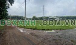 Bán đất Lộc An 7,9x20m, 2MT, SHR, Huyện Long Thành – Giá tốt