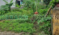 Bán đất 92.8m2 Khu 1 Hà Khẩu, ô tô đỗ cửa, sổ đỏ chính chủ