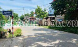 Bán đất Duy Phiên 125m2, MT TL306, KD đỉnh, giá tốt nhất