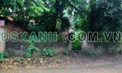Bán đất 100m², Cao Đại Minh Phương, Giá tốt – 1.8xx tỷ