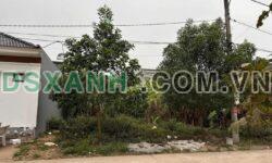 Bán đất Đồi Măng 180m² full thổ cư, MT 10m. Giá 6.X tỷ
