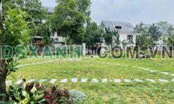 Bán đất 1124m² 2MT Hồ Thanh Cao, View Flamingo, Giá Tốt