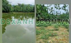 Bán Trang Trại Vân Hội, Yên Bái – 6000m² – Giá Tốt Nhất