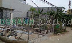 Bán đất Vườn Dừa, Phước Tân, Biên Hòa. 4.3x20m, giá chỉ 1.6 tỷ