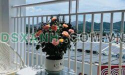 Bán căn hộ Vĩnh Điềm Trung, 48m2, full NT, view biển, Giá 1.825 tỷ