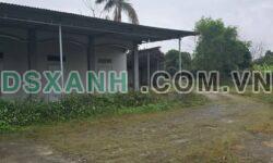Bán xưởng 4200m², 400m² thổ, QL2 & HCM, LH: 0355291111
