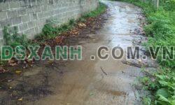 Bán Đất Xóm 7 Bế Triều Giá Rẻ Dưới 2Tr/m2, Gọi 0333025630