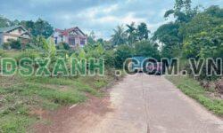 Bán đất 681m² Khu 4, Phường Hy Cương, Thành phố Việt Trì – Giá tốt