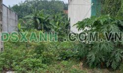 Bán đất TT Lập Thạch, 100m2 full thổ cư, giá chỉ 1.4 tỷ