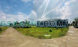Bán Lô Góc 187m² Full Thổ, Xã Diên Sơn, Huyện Diên Khánh – 1.259 Tỷ