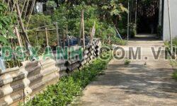 Bán đất sau ĐH Kinh Bắc, TP. Bắc Ninh, 58m2 nở hậu, giá chỉ 2 tỷ