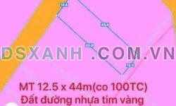 Bán đất Hòa Bình, Xuyên Mộc: 537m2, MT 12.5m, 1.3 tỷ TL