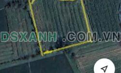 Bán Gấp 4.5 Sào Đất Vườn Hưng Nguyên, Giá Chỉ 650 Triệu