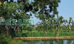 Bán Đất Tặng Nhà Bản Lằng, Cao Bằng – 107m2 – Giá Tốt