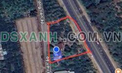 Bán Đất 2MT Bạch Đằng, Tân Uyên 1442m2, Thổ Cư, Vườn Bưởi