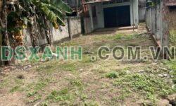 Bán Gấp Đất Đường 12, 250m², Sổ Hồng Riêng, Giá Chỉ 450 Triệu