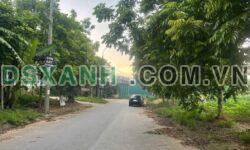 Bán đất TĐC Khu 9 Kim Đức 100m² – Giá 2.5 Tỷ, cạnh Ga Cao tốc