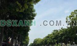 Bán nhà 141m2, 2 tầng Nguyễn Sỹ Sách, 13.x tỷ, Thành phố Vinh