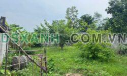 Bán nhà mái thái 500m² sau ĐH Công Nghiệp – Giá chỉ 2.3 tỷ