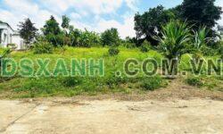 Bán Đất Vườn Diên Xuân 509m², 120m² TC, View Đẹp Giá 820tr