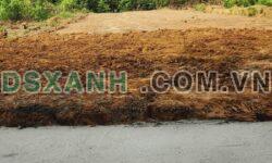 Bán đất An Phước, thổ cư 100%, đường 5m, giá chỉ 1.25 tỷ