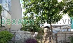 Bán đất Vân Phú 96.75m² MT Nguyễn Tất Thành – Đầu tư sinh lời