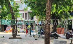 Bán NHÀ 2 TẦNG Sơn Trà 43m² – Mặt tiền VIEW Công viên, Giá 4.x Tỷ