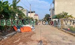 Bán đất DV Tân Ngọc, Bình Xuyên 100m2 MT5m, Giá Đầu Tư