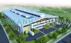 Bán Đất MT Nguyễn Văn Tố, 350m²/lô – Giá chỉ 1.4 Tỷ