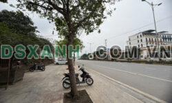 BÁN ĐẤT THƯƠNG MẠI DỊCH VỤ TẠI TRUNG TÂM TP VĨNH YÊN – VỊ TRÍ ĐẮC ĐỊA