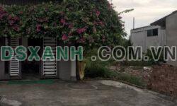 Bán Đất Nghi Kim 200m2, Ngõ Ô Tô, Chia Lô 100m2 Giá Chỉ 1.3 Tỷ/Lô