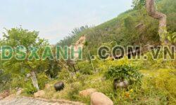 Bán Nhà Vườn Sinh Thái 5426m² Hoành Bồ, Hạ Long – Giá 2x Tỷ