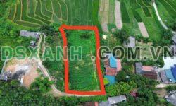 Bán Đất Tam Đảo 2000m² MT 40m, Thế Đất Lư, Giá Hơn 1 Tỷ