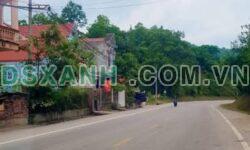 Bán đất QL4, Phường Duyệt Trung 114m2, MT 10m, Giá 1.38 tỷ