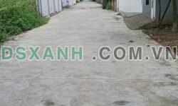 Bán đất Vinh Hưng, Nghi Liên 140m2 (7x20m), đường 7m, giá tốt